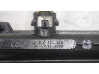 Форсунка топливная Volkswagen Golf 5 2003-2009 036133320C, 036906031AG