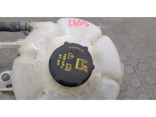 Бачок расширительный  Ford Bronco Sport 2020-2024 LX618A080   