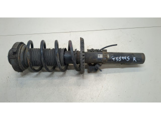 Стойка амортизатора  Skoda Fabia 2007-2010 6Q0413031BJ, 6Q0411105AE     