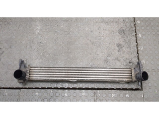 Интеркулер Skoda Rapid