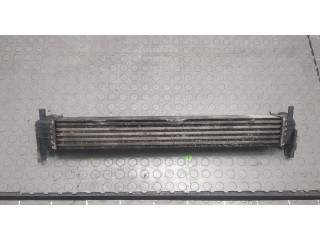 Интеркулер Skoda Fabia 2010-2014