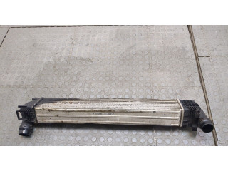 Интеркулер Dacia Duster 2010-2017