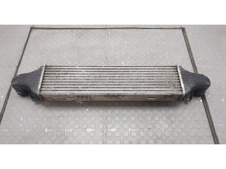 Интеркулер  Mercedes E W212 2009-2016   A2045000200    