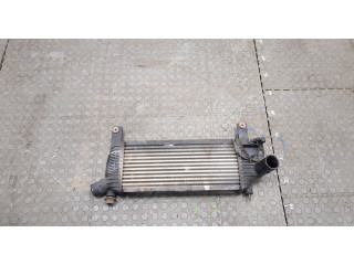 Интеркулер Nissan Pathfinder 2004-2014 14461EB360