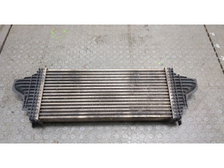 Интеркулер  Mercedes R W251 2005-       