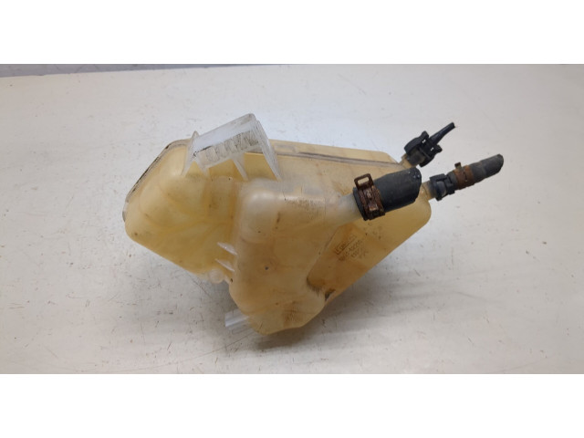 Бачок расширительный  Ford EcoSport 2012-2016 8V218K218AB   