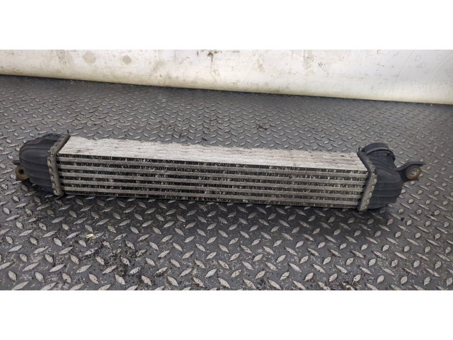 Интеркулер Mini Countryman (R60) 2010-2016 2.0
