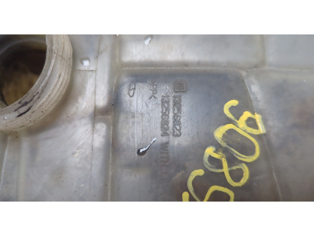 Бачок расширительный Chevrolet Cruze 2009-2015 13256823