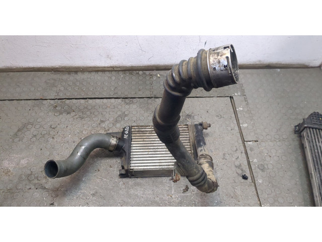 Интеркулер Dacia Duster 2010-2017 144966051R