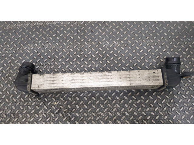 Интеркулер Mini Countryman (R60) 2010-2016 2.0