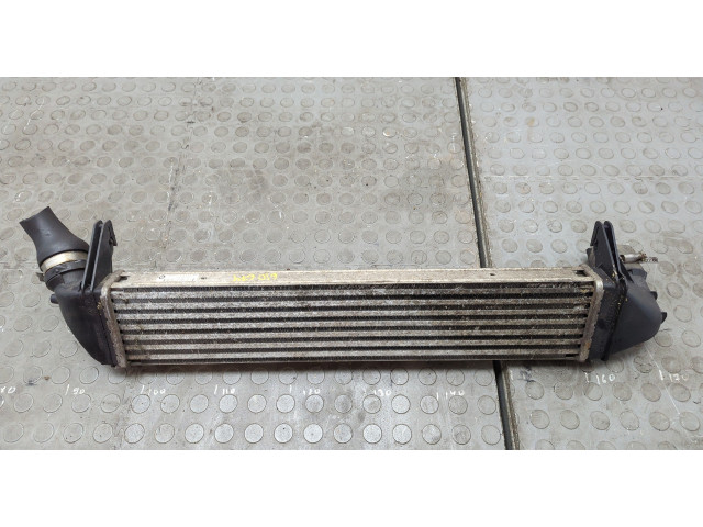 Интеркулер Dacia Logan 2004-2012 8200409045