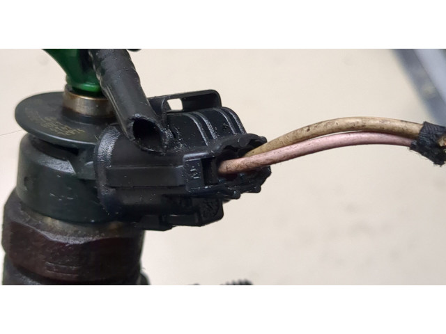 Форсунка топливная  Peugeot Expert 2007-2016    0445110739     