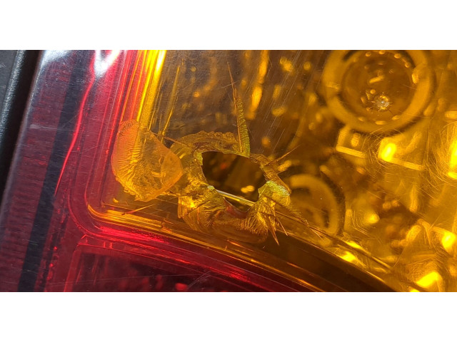 Задний фонарь