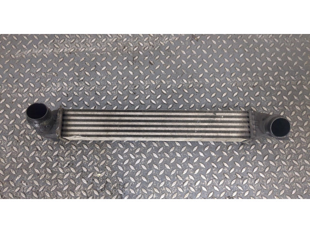 Интеркулер Mini Countryman (R60) 2010-2016 2.0