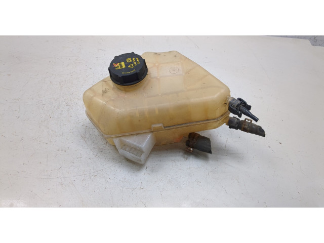 Бачок расширительный  Ford EcoSport 2012-2016 8V218K218AB   