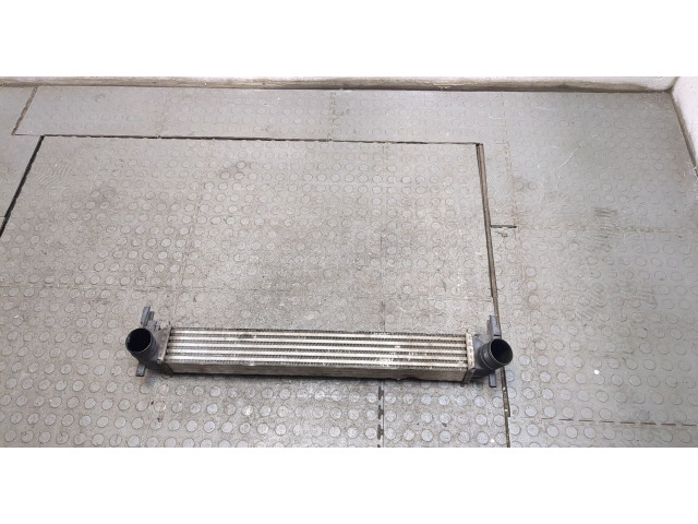 Интеркулер Skoda Fabia 2010-2014