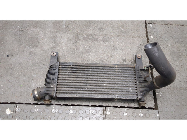 Интеркулер Nissan Pathfinder 2004-2014 14461EB360