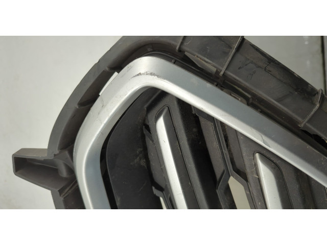 Решетка радиатора Ford EcoSport 2017-2023