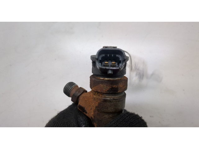 Форсунка топливная Dacia Sandero 2013-2020 166008399R, 166007238R