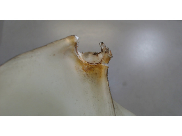 Бачок омывателя  Honda Accord 7 2003-2007 6840SEAE01   7  