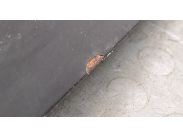 Замок багажника  Jeep Compass 2011-2016       