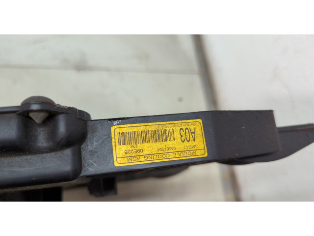 Вентилятор радиатора  Chevrolet Aveo (T250 / 255) 2006-2012           