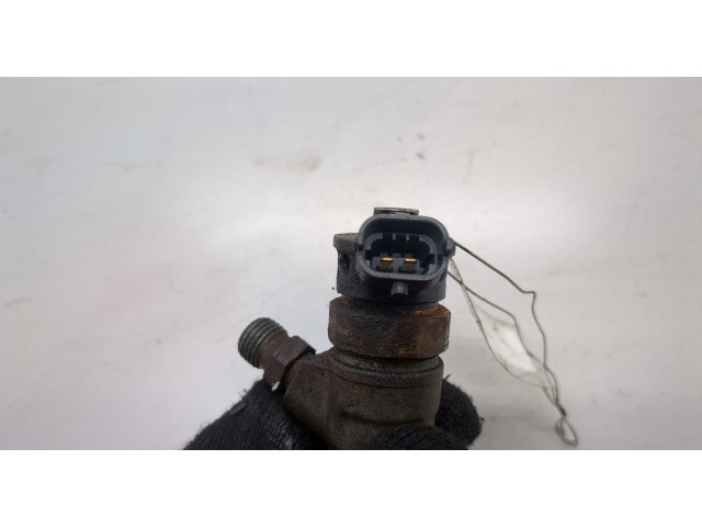 Форсунка топливная Dacia Sandero 2013-2020 166008399R, 166007238R