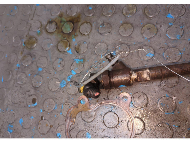 Форсунка топливная  Fiat Grande Punto 2005-2010    55197875     