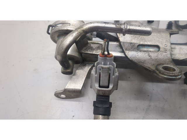 Форсунка топливная Dacia Sandero 2013-2020 166004787R, 175201470R