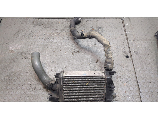 Интеркулер Dacia Duster 2010-2017 144966051R