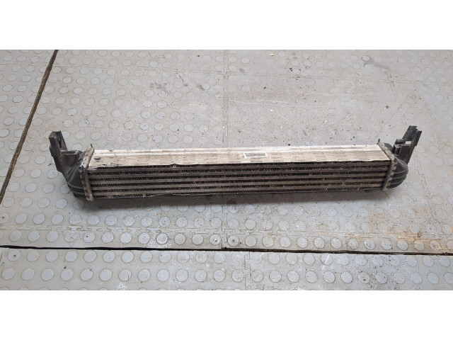 Интеркулер  Skoda Fabia 2010-2014 1.6      