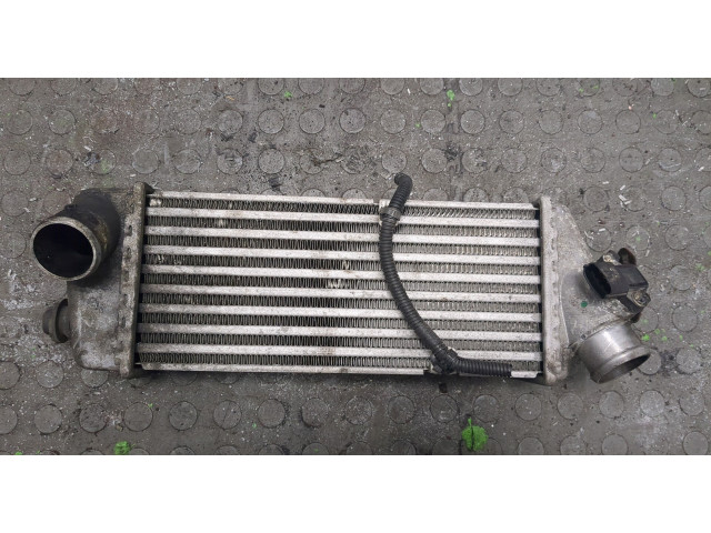 Интеркулер KIA Rio 2005-2011 1.5 282702A401
