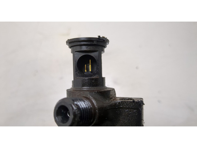 Форсунка топливная  Ford Kuga 2016-2019    2407504     