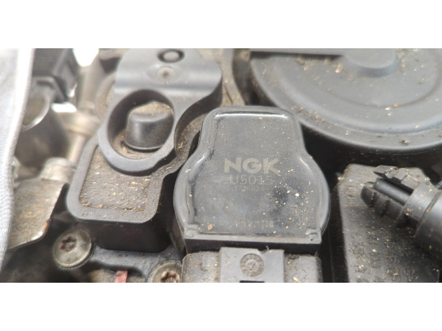 Форсунка топливная  Volkswagen Tiguan 2007-2011    06H906036G, 06J133317M     