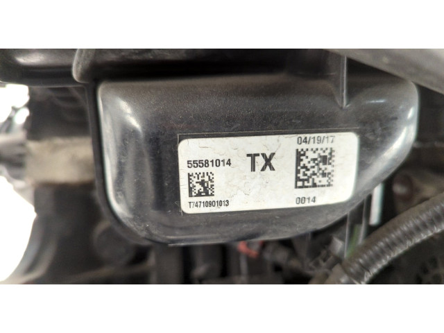 Форсунка топливная  Buick Encore 2016-2022    55565970, 55565971     