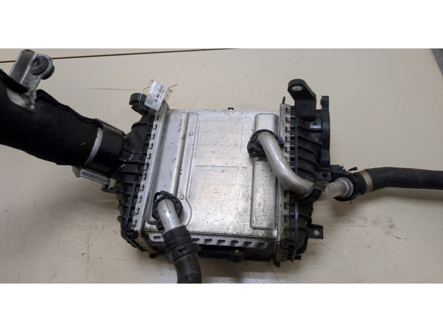 Интеркулер  Mercedes E W213       