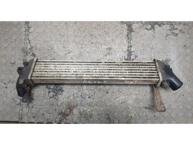 Интеркулер Nissan Kubistar 1.5 8200221885