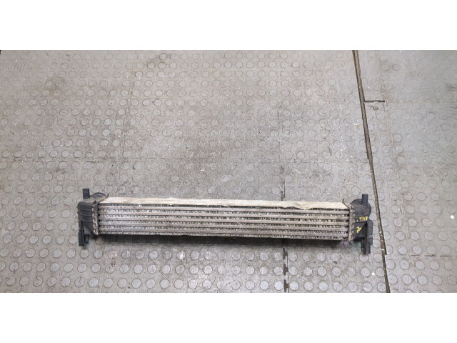 Интеркулер Skoda Fabia 2010-2014