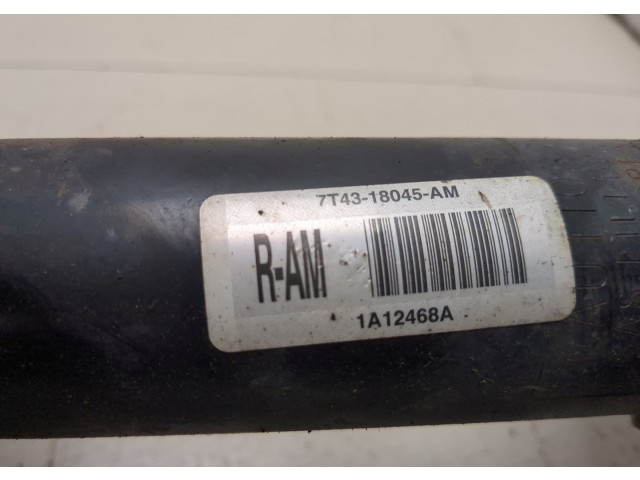 Стойка амортизатора  Ford Edge 2006-2015 7T4Z18124AB, 7T4Z18124BB     