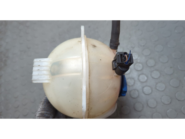 Бачок расширительный  Skoda Rapid 2012-2020    