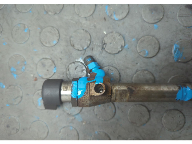 Форсунка топливная  Renault Clio 2005-2009    166009445R, 8200294788     