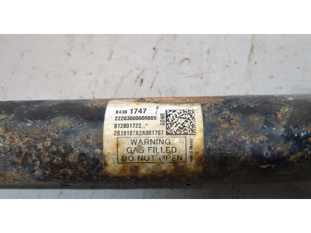 Стойка амортизатора Chevrolet Equinox 2017-2024 84361747