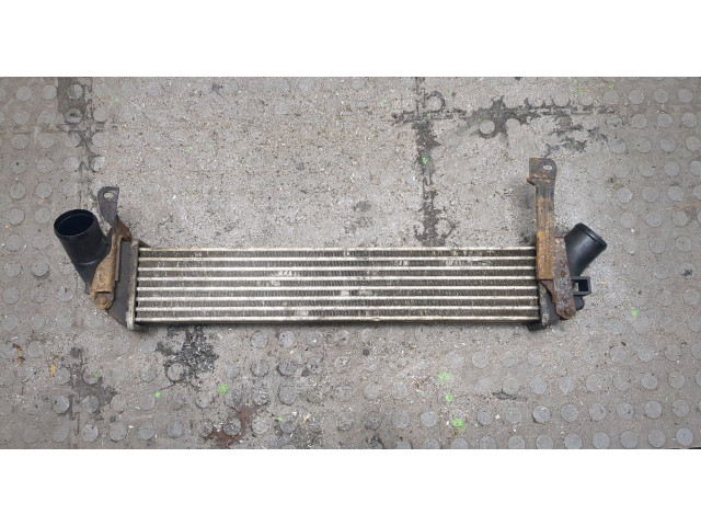 Интеркулер Nissan Kubistar 1.5 8200221885