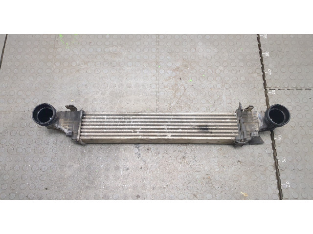 Интеркулер Mercedes CLS C219 2004-2010