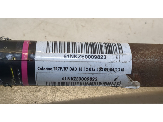 рейка Колонка рулевая Citroen DS4