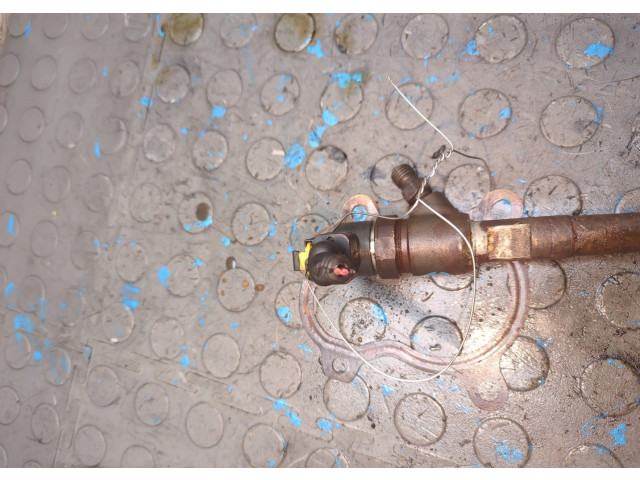 Форсунка топливная  Fiat Grande Punto 2005-2010    55197875     