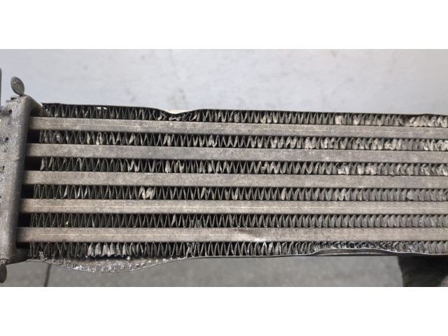 Интеркулер Skoda Rapid