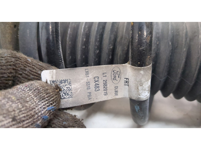 Стойка амортизатора  Lincoln Corsair 2019-2023 LX6Z18124C     