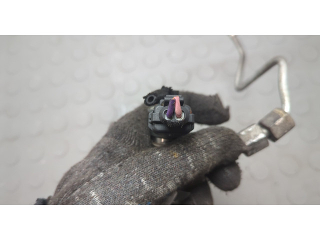 Форсунка топливная  Ford Ranger 2006-2012    1449261, 6M349F595BA     