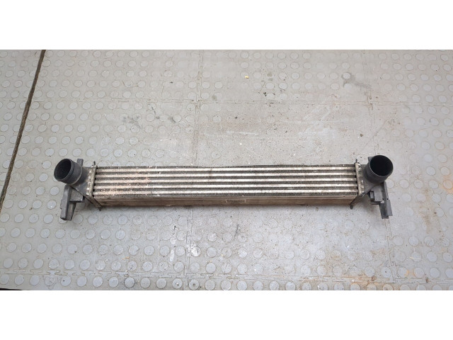 Интеркулер  Skoda Fabia 2010-2014 1.6      